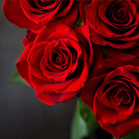 Obit Placeholder 16